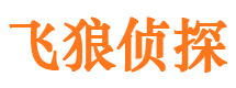 台山市婚外情取证